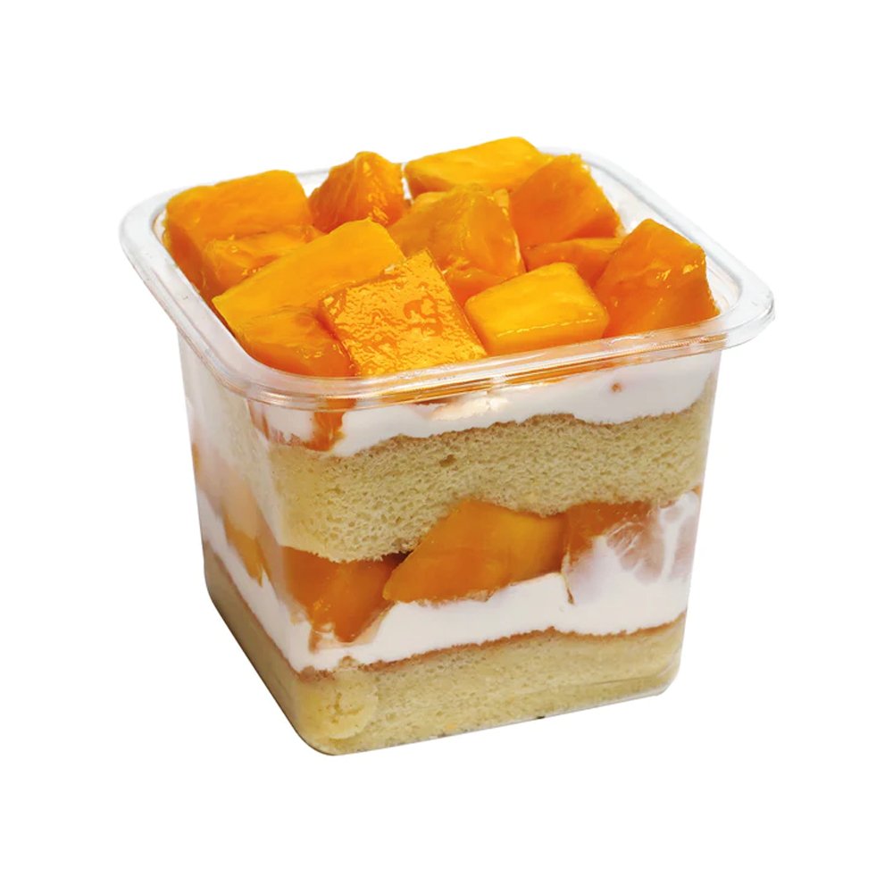 Square Dessert Containers - TEM IMPORTS™