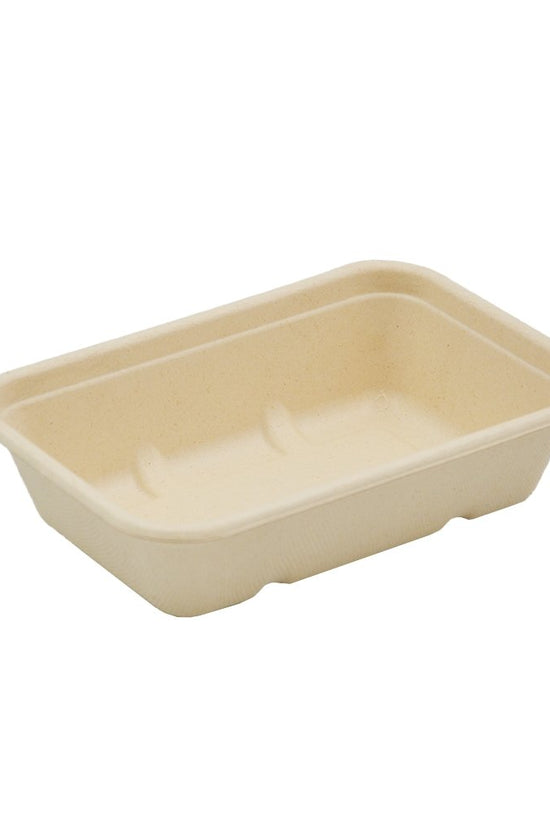 Sugarcane Rectangular Container