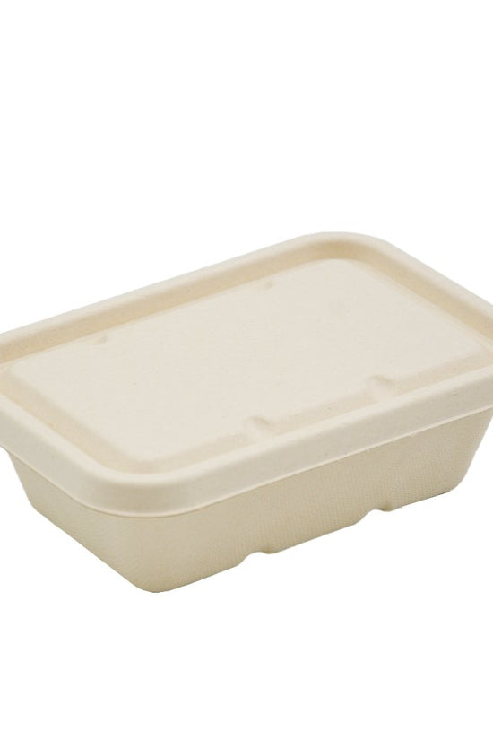 650mL Natural Sugarcane Rectangular Container - TEM IMPORTS™