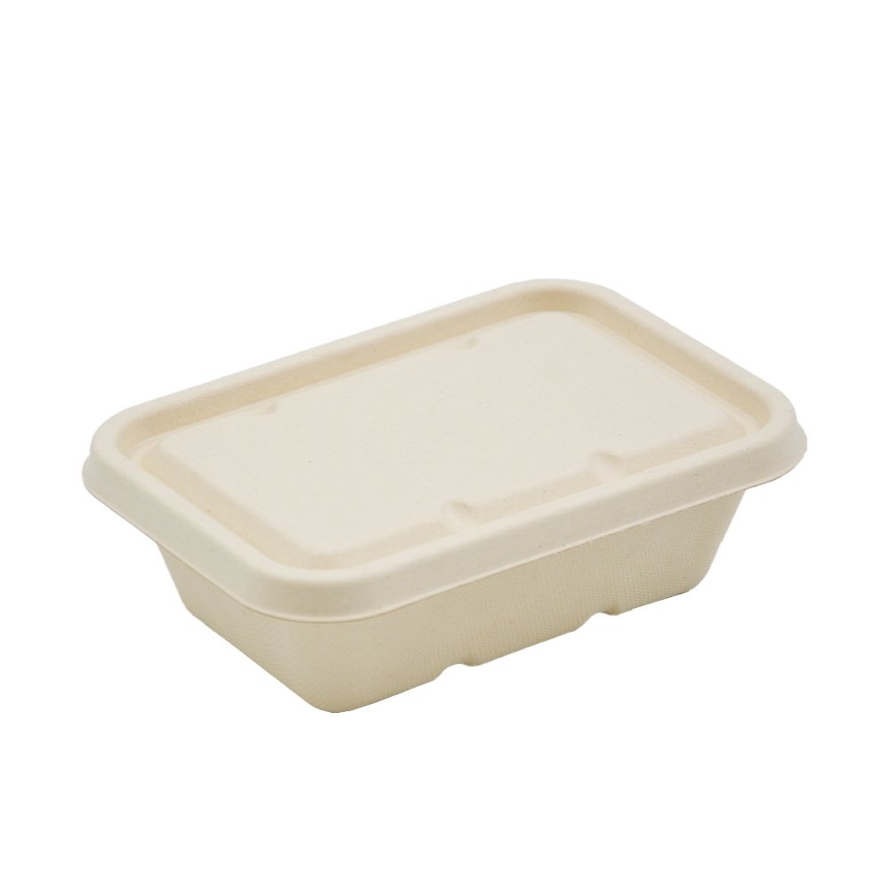 650mL Natural Sugarcane Rectangular Container - TEM IMPORTS™