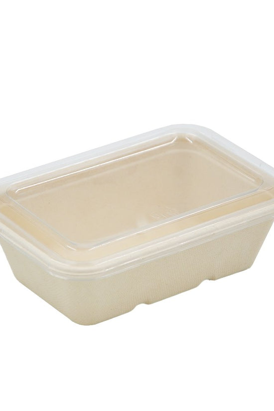 650mL Natural Sugarcane Rectangular Container - TEM IMPORTS™