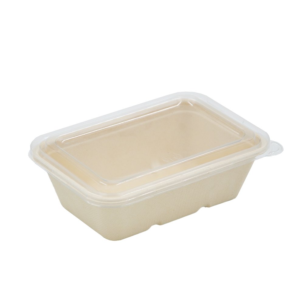 650mL Natural Sugarcane Rectangular Container - TEM IMPORTS™