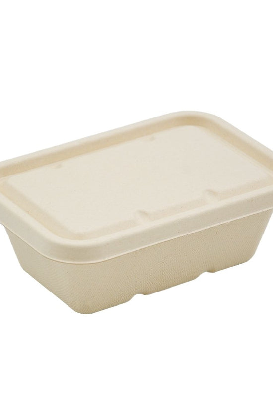 750mL Natural Sugarcane Rectangular Container - TEM IMPORTS™