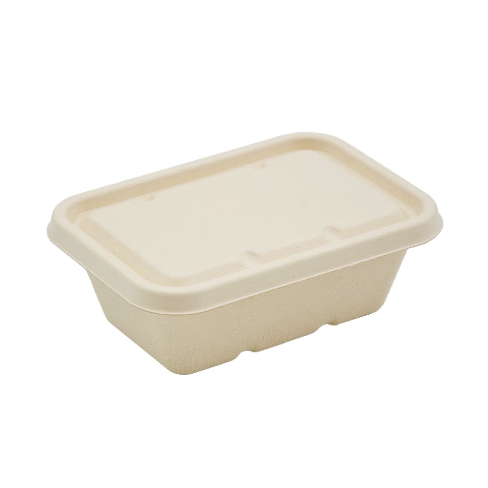 750mL Natural Sugarcane Rectangular Container - TEM IMPORTS™