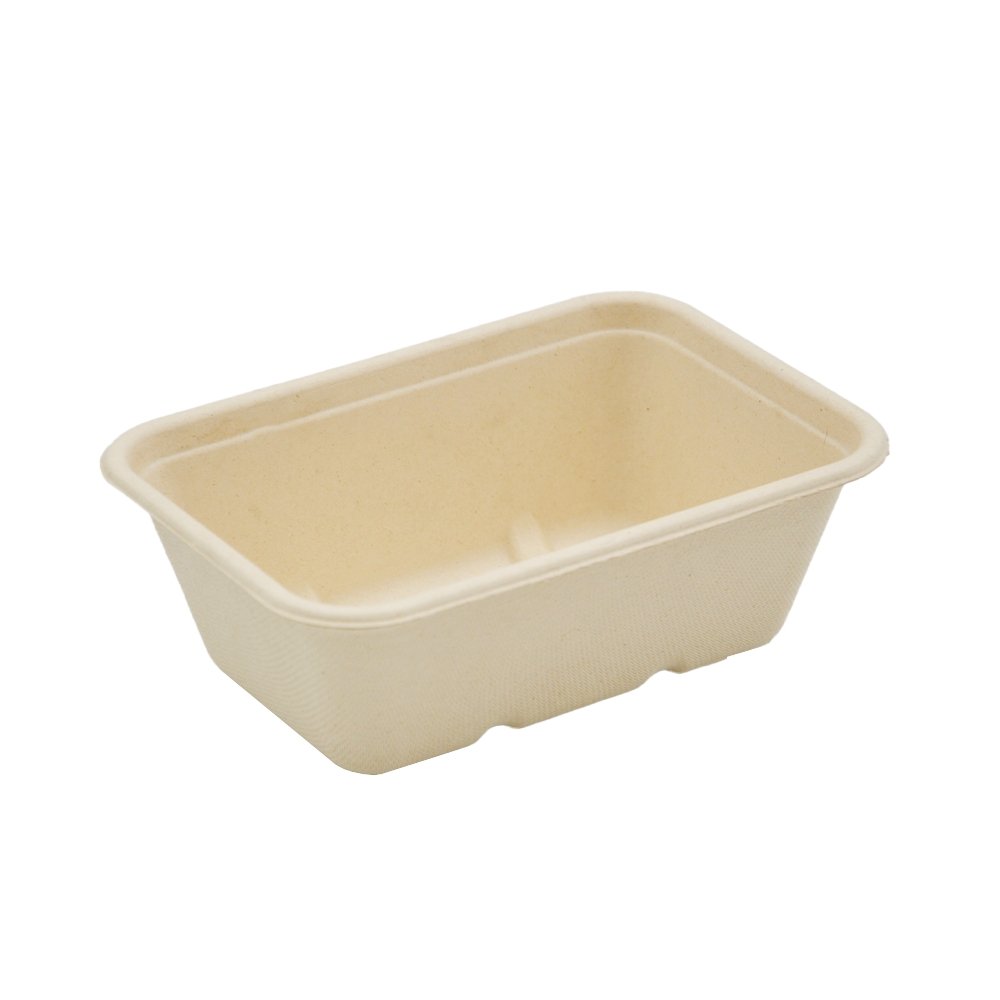 750mL Natural Sugarcane Rectangular Container - TEM IMPORTS™