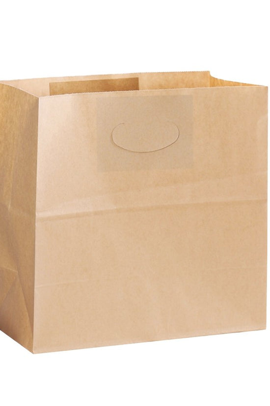 Retail Takeaway Brown Kraft Die-Cut Handle Paper Bag - TEM IMPORTS™