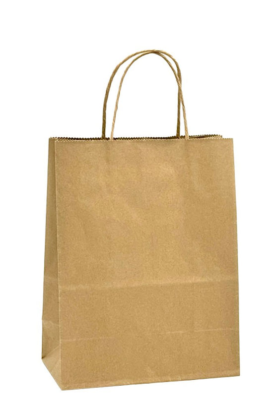 Ex Small Brown Kraft Paper Twist Handle Bag - TEM IMPORTS™