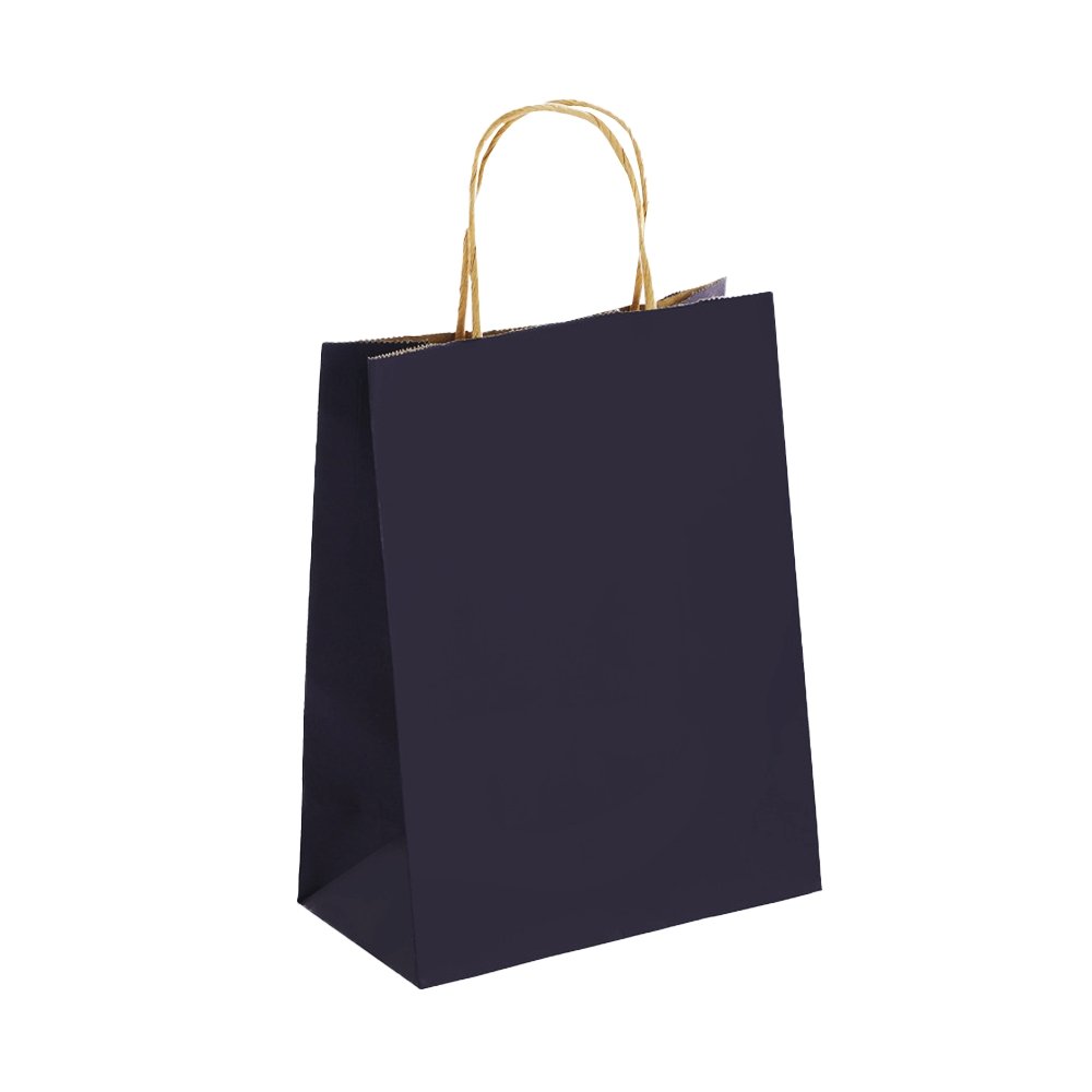 Ex Small Kraft Paper Twist Handle Bag-Navy Blue