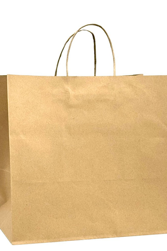Large Takeaway Twisted Handle Paper Bag - TEM IMPORTS™