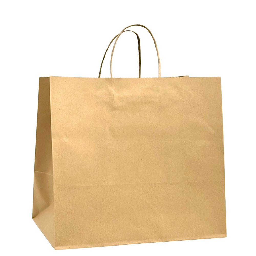 Large Takeaway Twisted Handle Paper Bag - TEM IMPORTS™