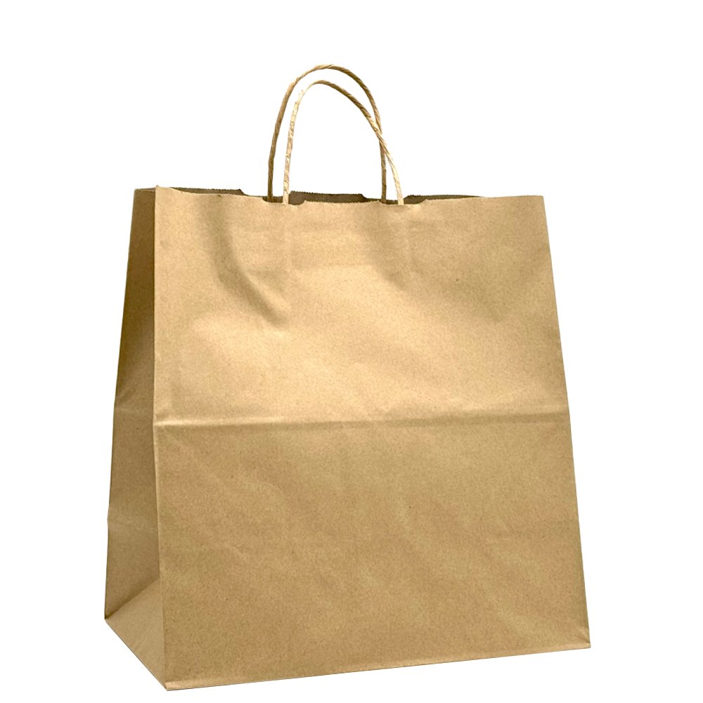 Medium Plus Takeaway Twisted Handle Paper Bag - TEM IMPORTS™