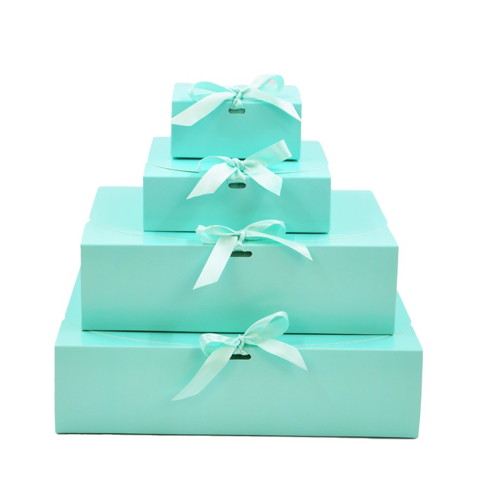 Medium Sleek Paper Box With Ribbon - TEM IMPORTS™