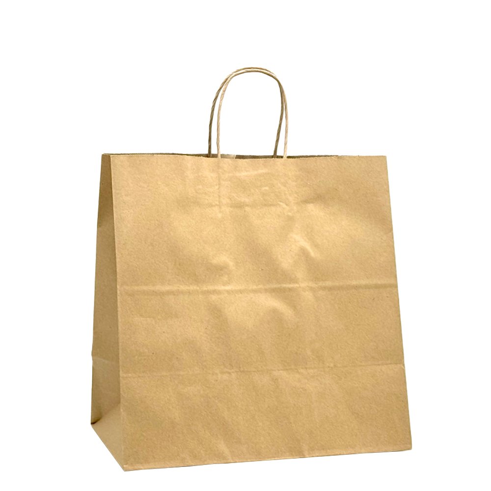 Retail Takeaway Kraft Twisted Handle Paper Bag - Medium (UberEats Styled)