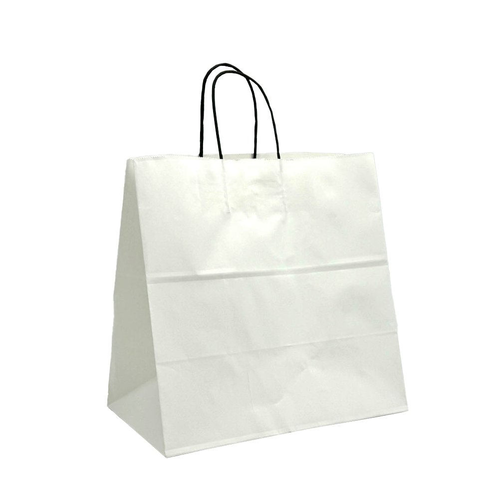 Medium Takeaway White Twisted Black Handle Paper Bag - TEM IMPORTS™