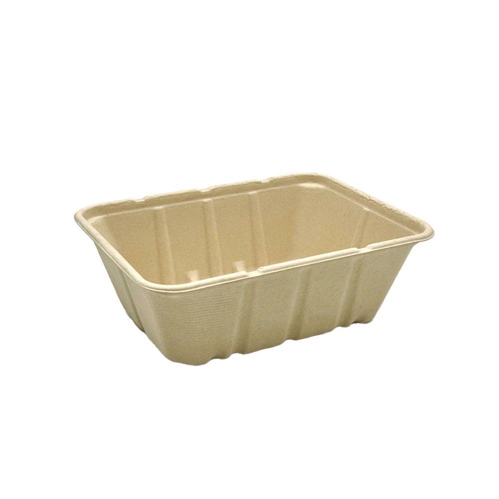 Natural Sugarcane Large Tray - 1600mL - TEM IMPORTS™