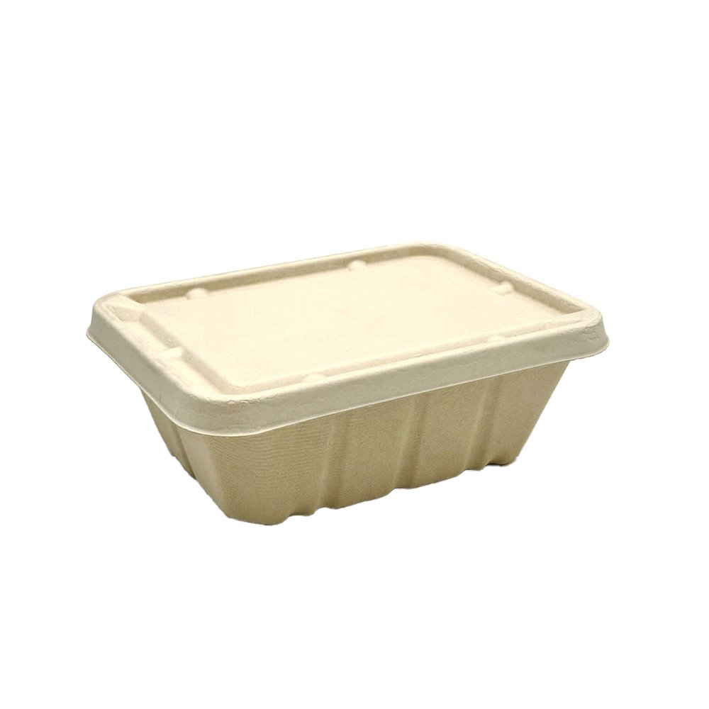 Natural Sugarcane Lid To Suit 1200mL/1600mL Tray - TEM IMPORTS™