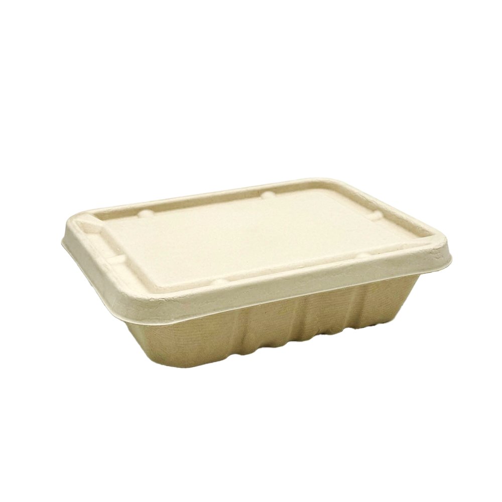 Natural Sugarcane Lid To Suit 1200mL/1600mL Tray - TEM IMPORTS™