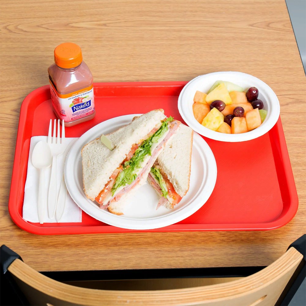 Red Plastic Fast Food Tray - 450x350mm - TEM IMPORTS™