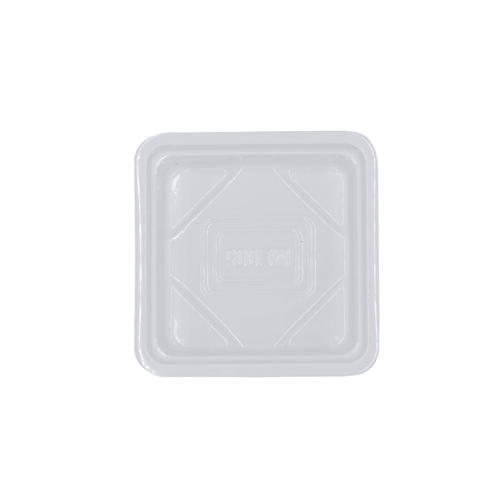 Small Square White With Clear PET Lid - TEM IMPORTS™