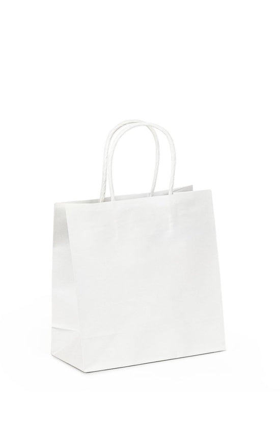 Ssmall White Twisted Handle Paper Bag - TEM IMPORTS™