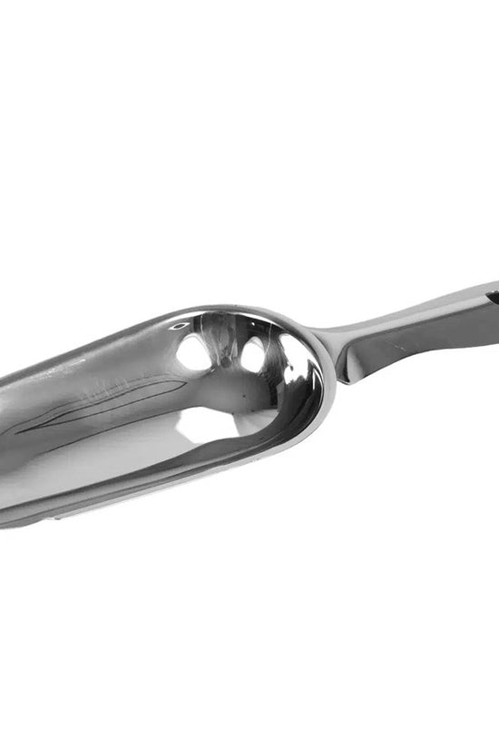 Stainless Steel Ice Scoop - TEM IMPORTS™